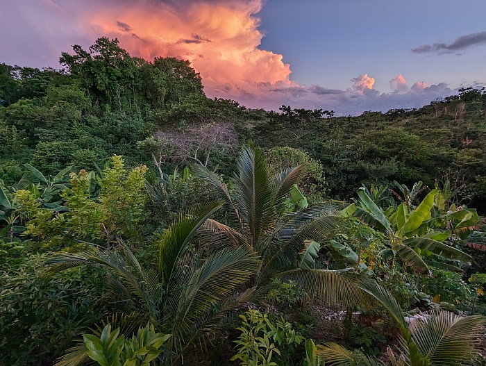 Take in the view above the treetops in the fresh mountain air