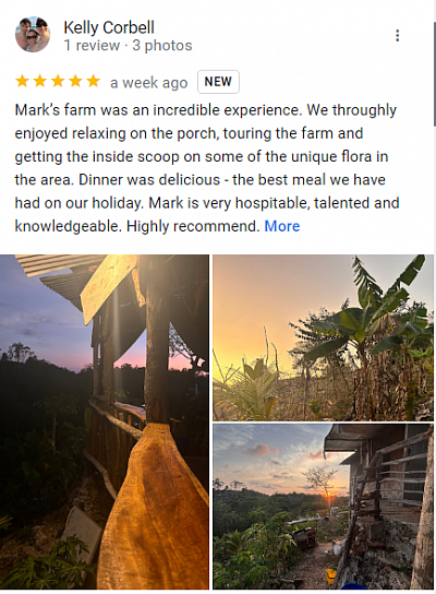 5-star review of Jamaican Roots Tropical Farm posted on Google