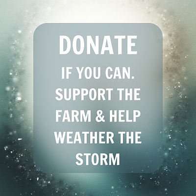 donate if you can. support the farm & help weather the storm.