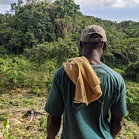 A jamaican man's back, with a towel over his shoulder, assessing a tropical farm