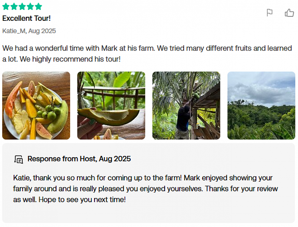 Katie's review in August 2025 published on Viator