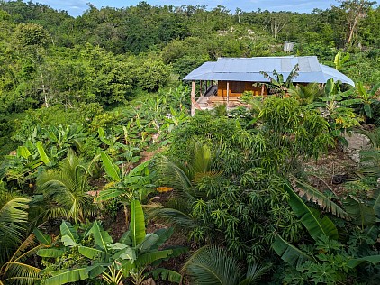 A chalet in the middle of a lush tropical farm