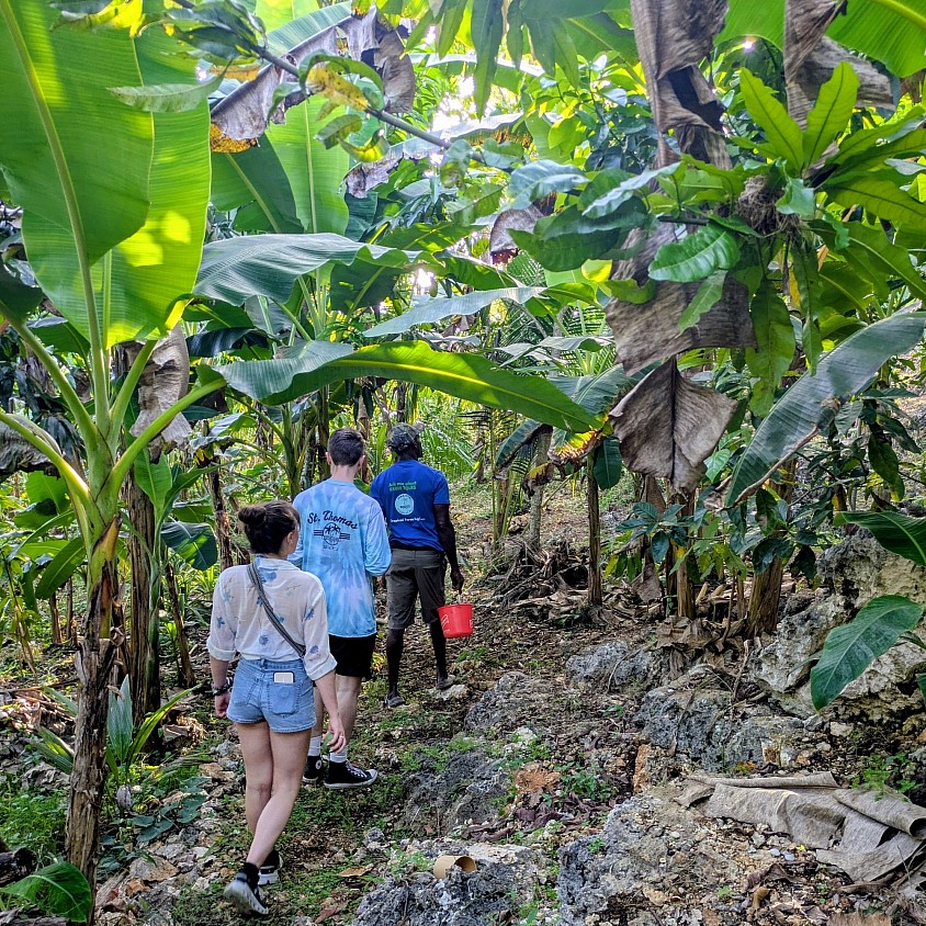 two visitors walking behind the Jamaican tour guide through a tropical forest