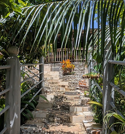 Welcome to Jamaican Roots Tropical Farm in Negril !